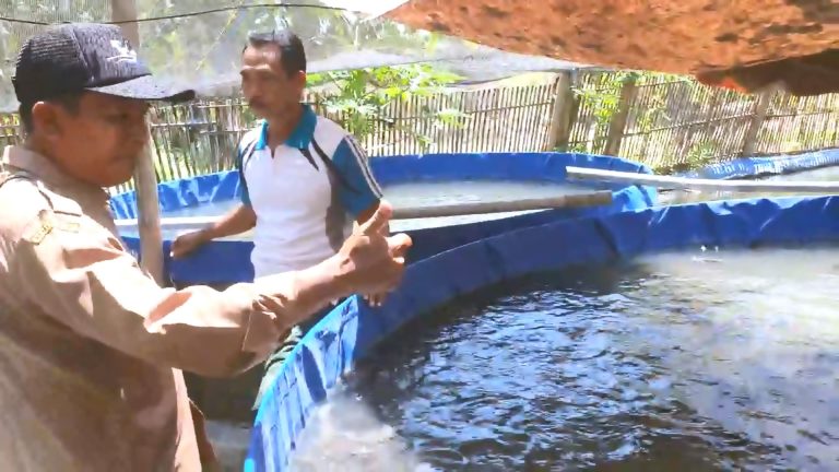 Monitoring Budidaya - Dinas Perikanan Pamekasan