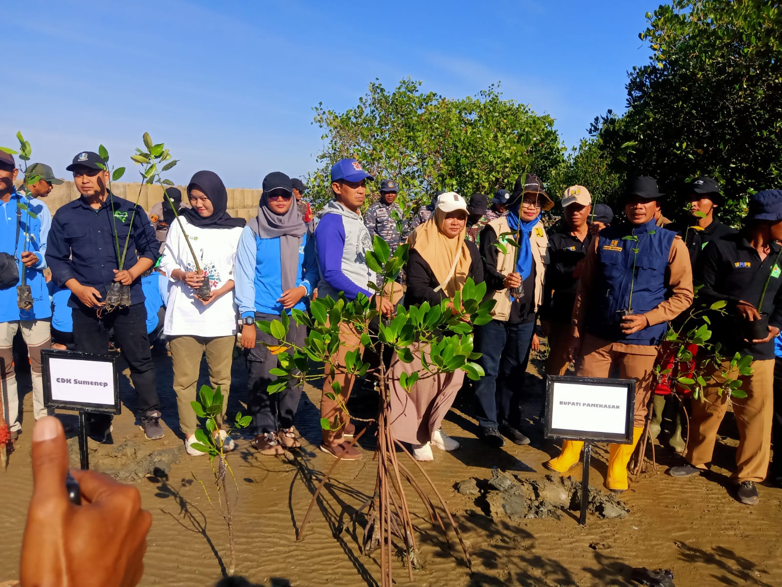 penanaman 1000 mangrove - Dinas Perikanan Pamekasan