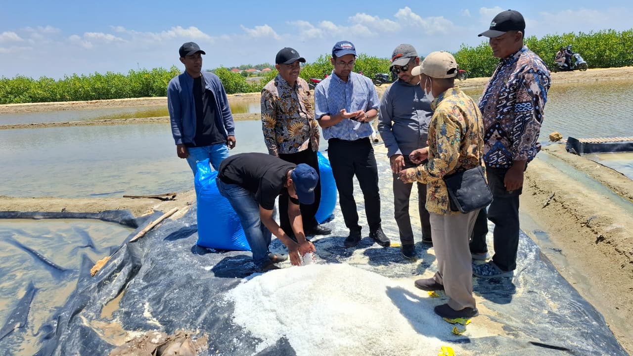 Kunjungan lapangan ke tambak garam - Dinas Perikanan Pamekasan