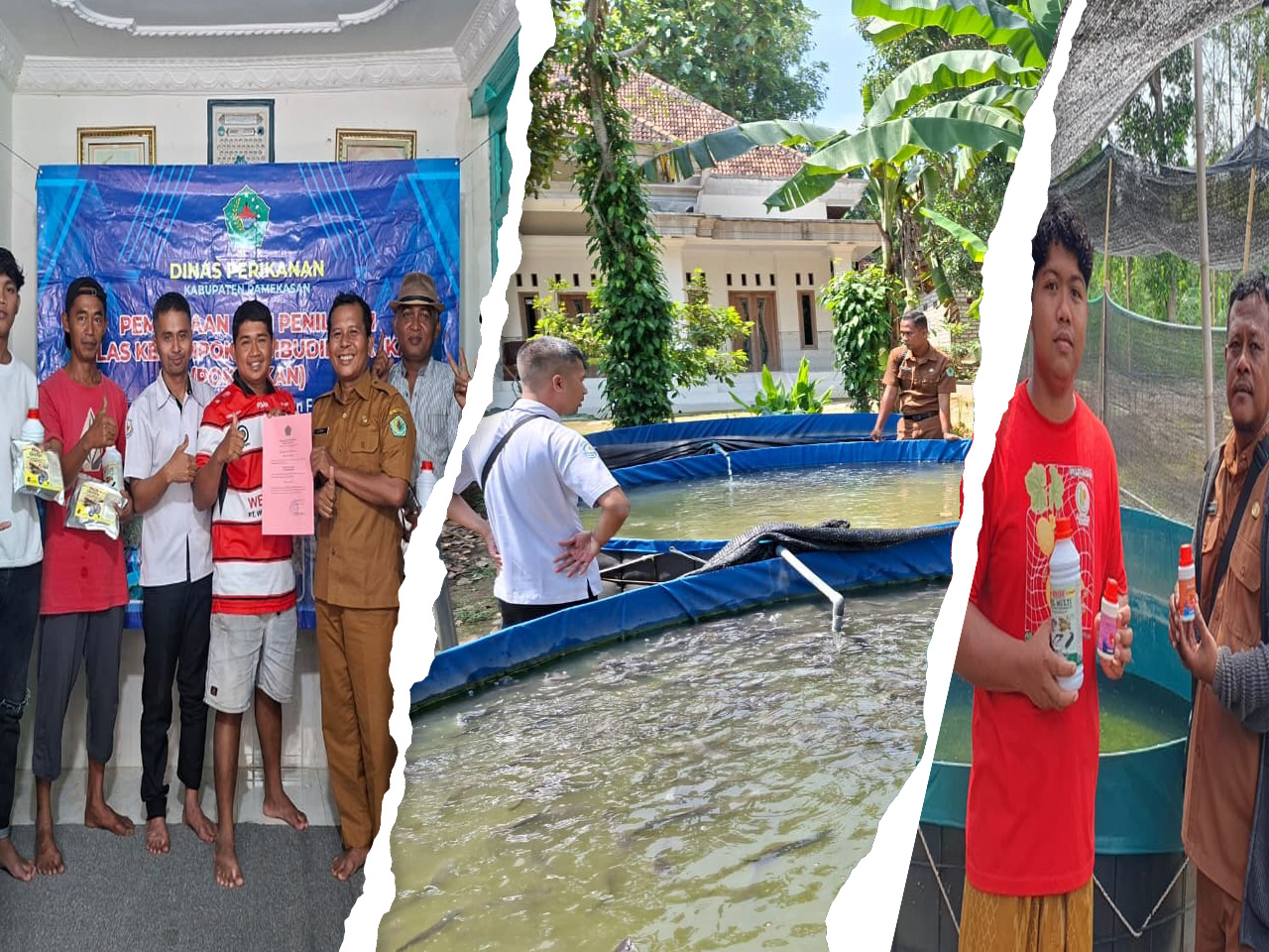 Pembinaan dan Monitoring Budidaya Ikan - Dinas Perikanan Pamekasan